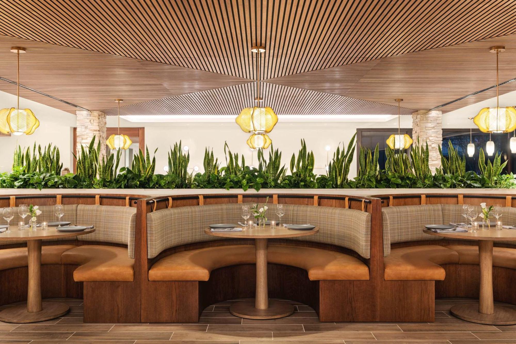 Resort, Curio Collection By Hilton 4*